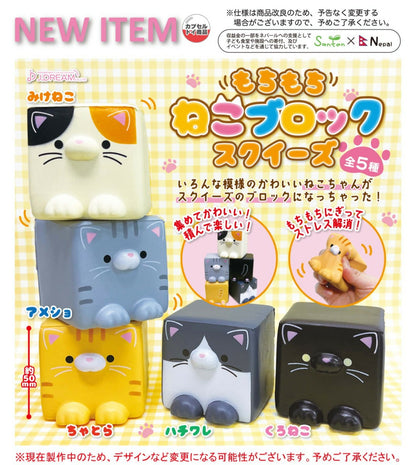 JDream Cube Cat