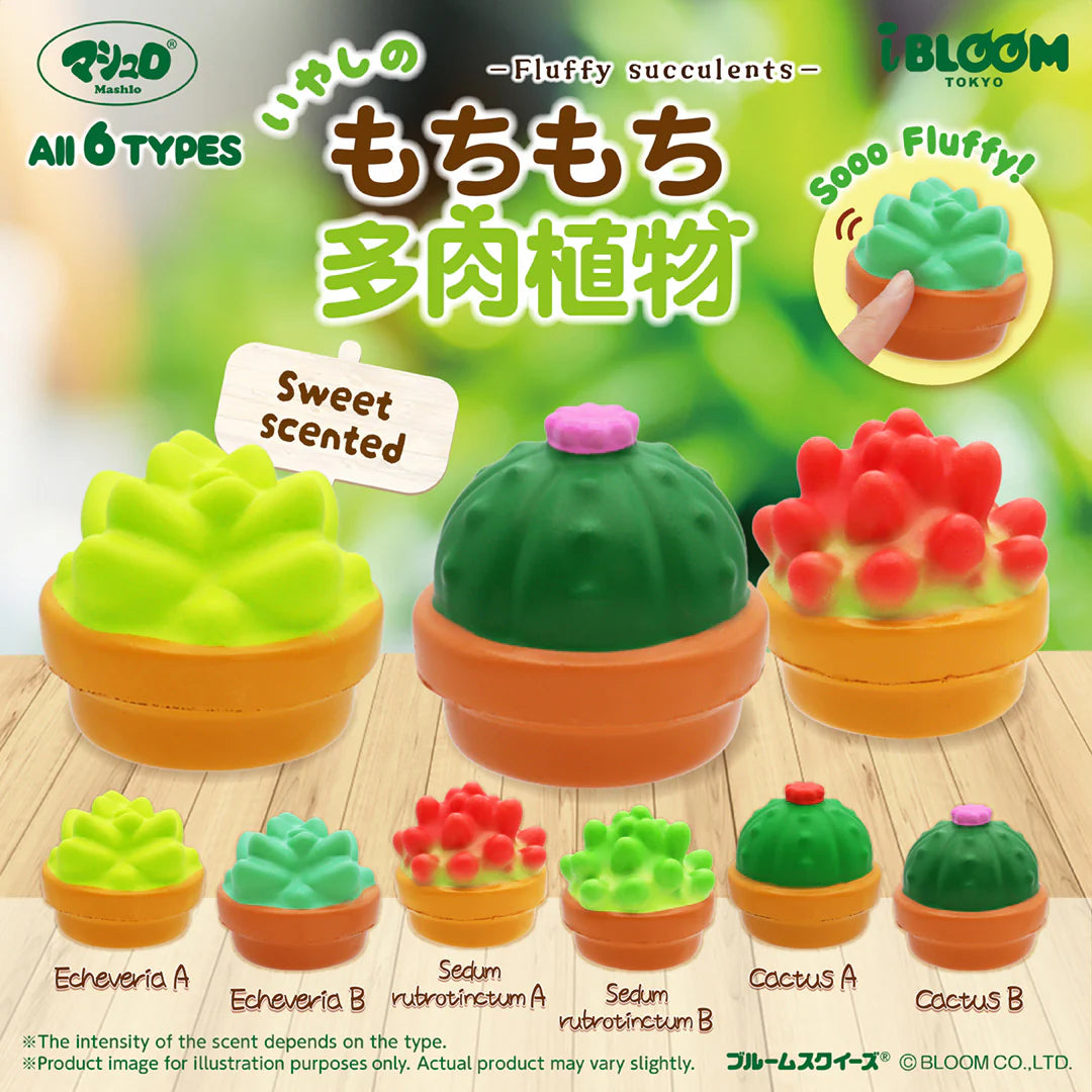 iBloom Succulent Capsule Squishy