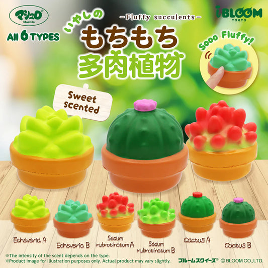 iBloom Succulent Capsule Squishy