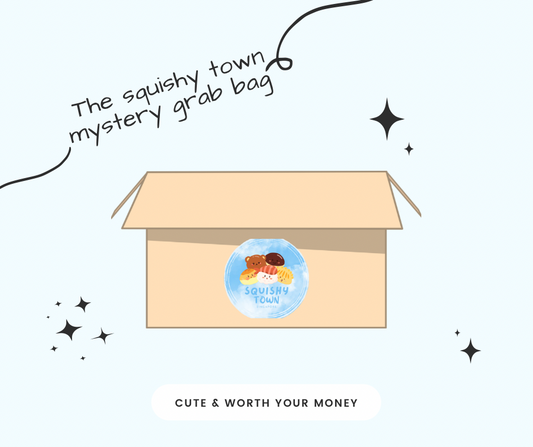 The squishy town mystery bag