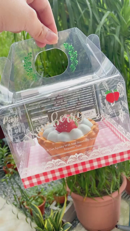 Piaji Tart Squishy